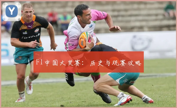 F1中国大奖赛：历史与观赛攻略