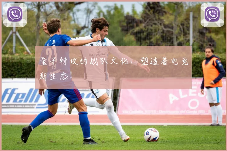 量子特攻的战队文化,塑造着电竞新生态!
