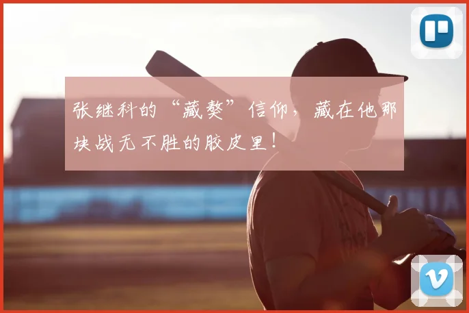 张继科的“藏獒”信仰,藏在他那块战无不胜的胶皮里!